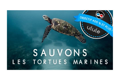 Sauver les tortues de mer à l'éclosion FR Gift Card (France) – buy with Bitcoin, USDT, ETH and 300+ tokens on GENGHIS
