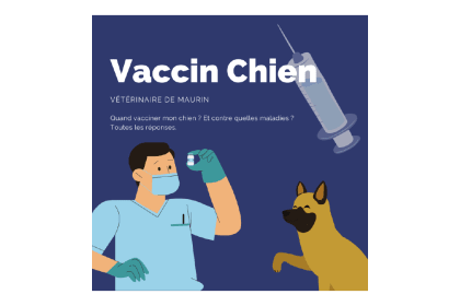 Dog Rabies Vaccination Service France – buy with Bitcoin, USDT, ETH on GENGHIS