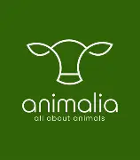 Animalia