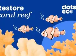 Restore a coral reef fragment US
