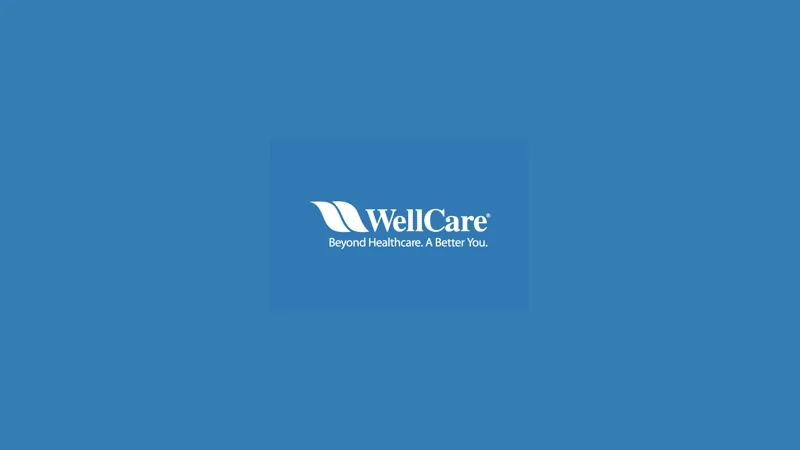 wellcard gift card