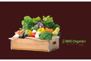 Darken Hair & Calcium Supplement- BMS Jubesoy x 1 unit + BMS Opprah (B) x 1 unit