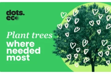 Dots.eco-Bäume pflanzen, wo sie am meisten gebraucht werden DE