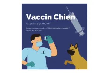 Vacciner des chiens contre la rage FR