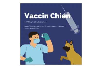 Dog Rabies Vaccination Service France – buy with Bitcoin, USDT, ETH on GENGHIS
